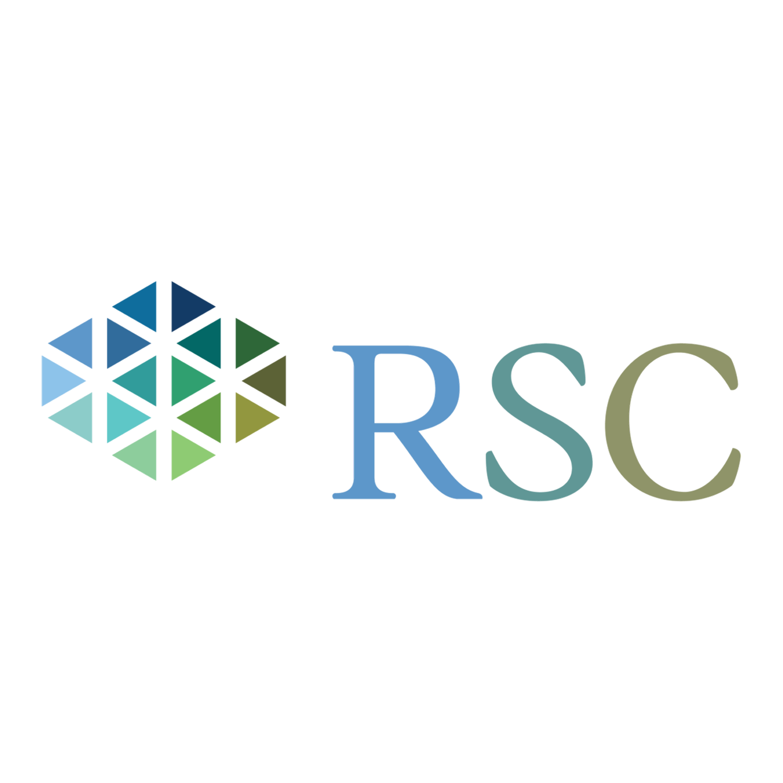 RSC Holding